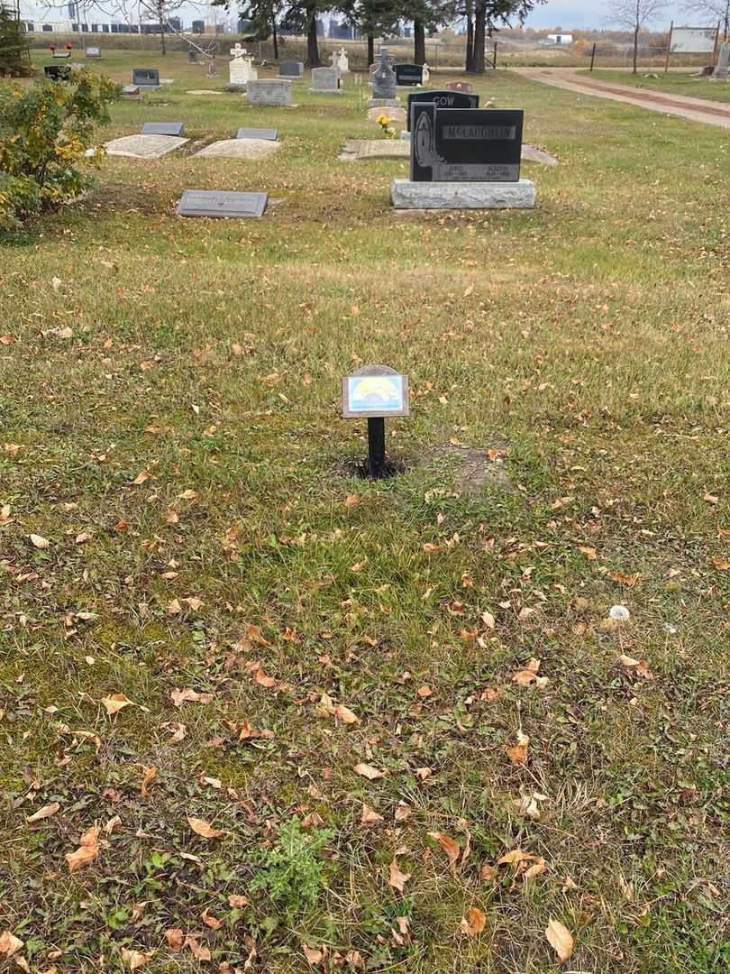 James Johannas Gerald "Joey" Sanson's grave. Photo 2