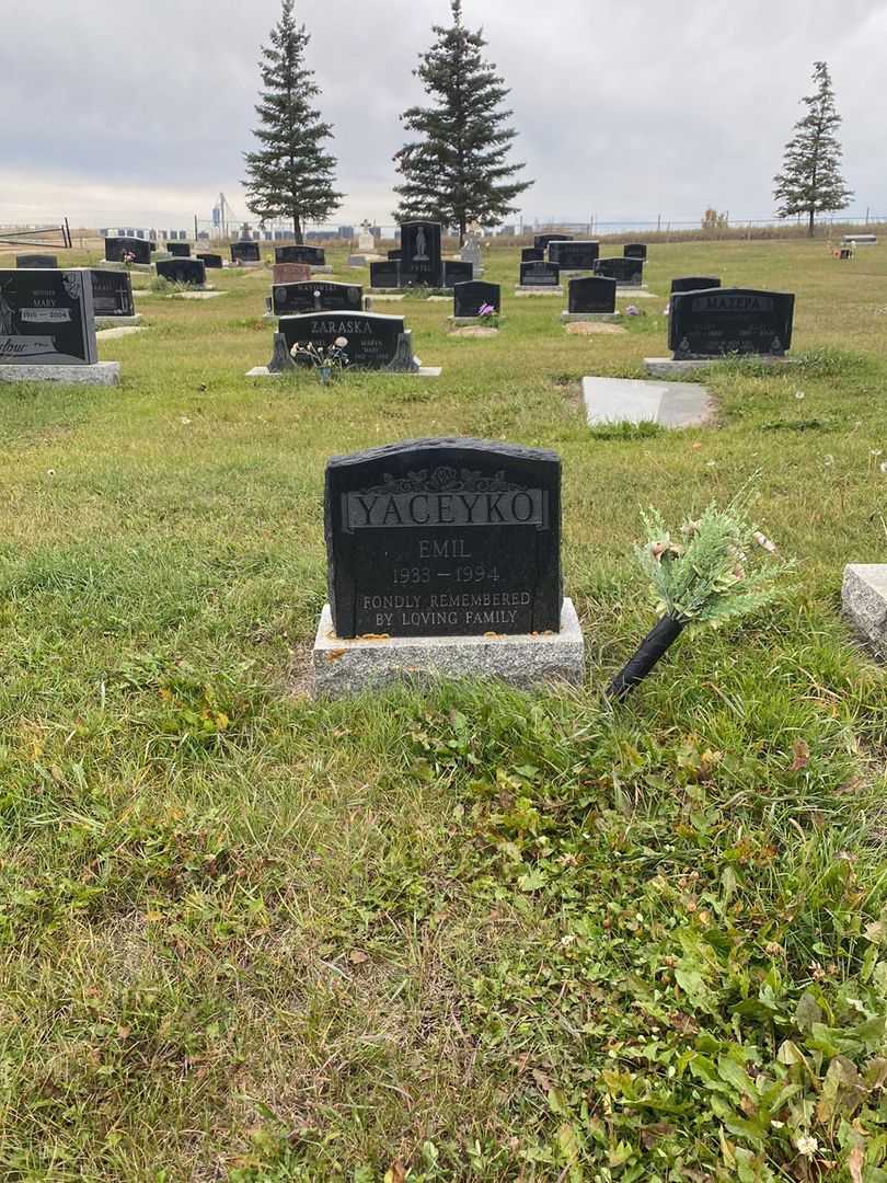 Emil Yaceyko's grave. Photo 2
