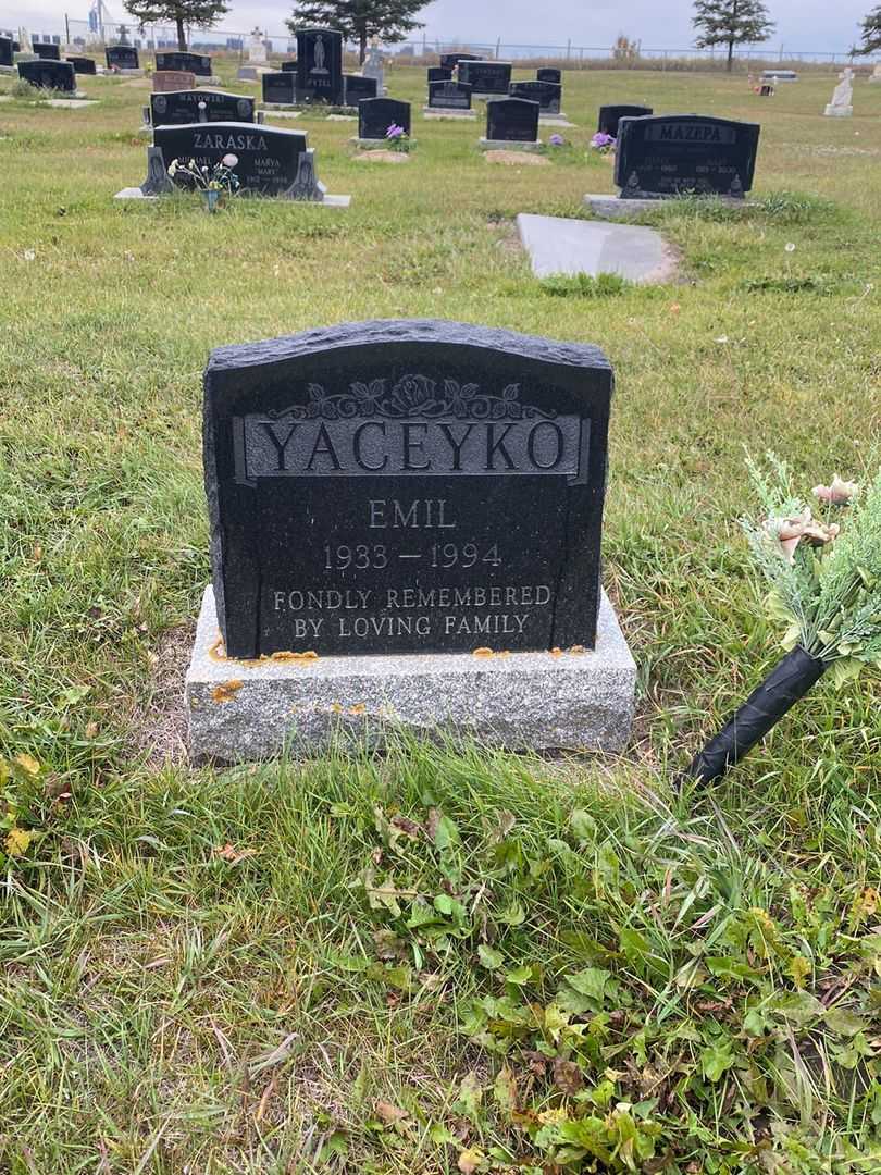 Emil Yaceyko's grave. Photo 1