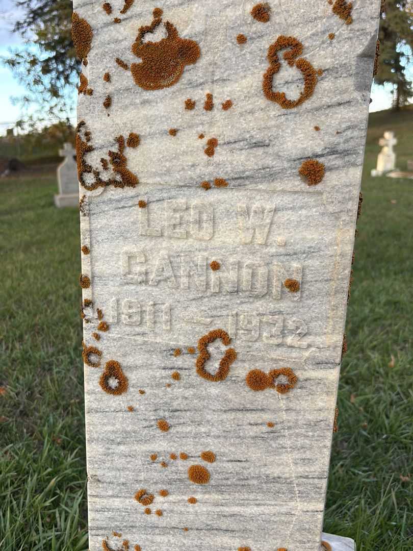 Leo W. Gannon's grave. Photo 1