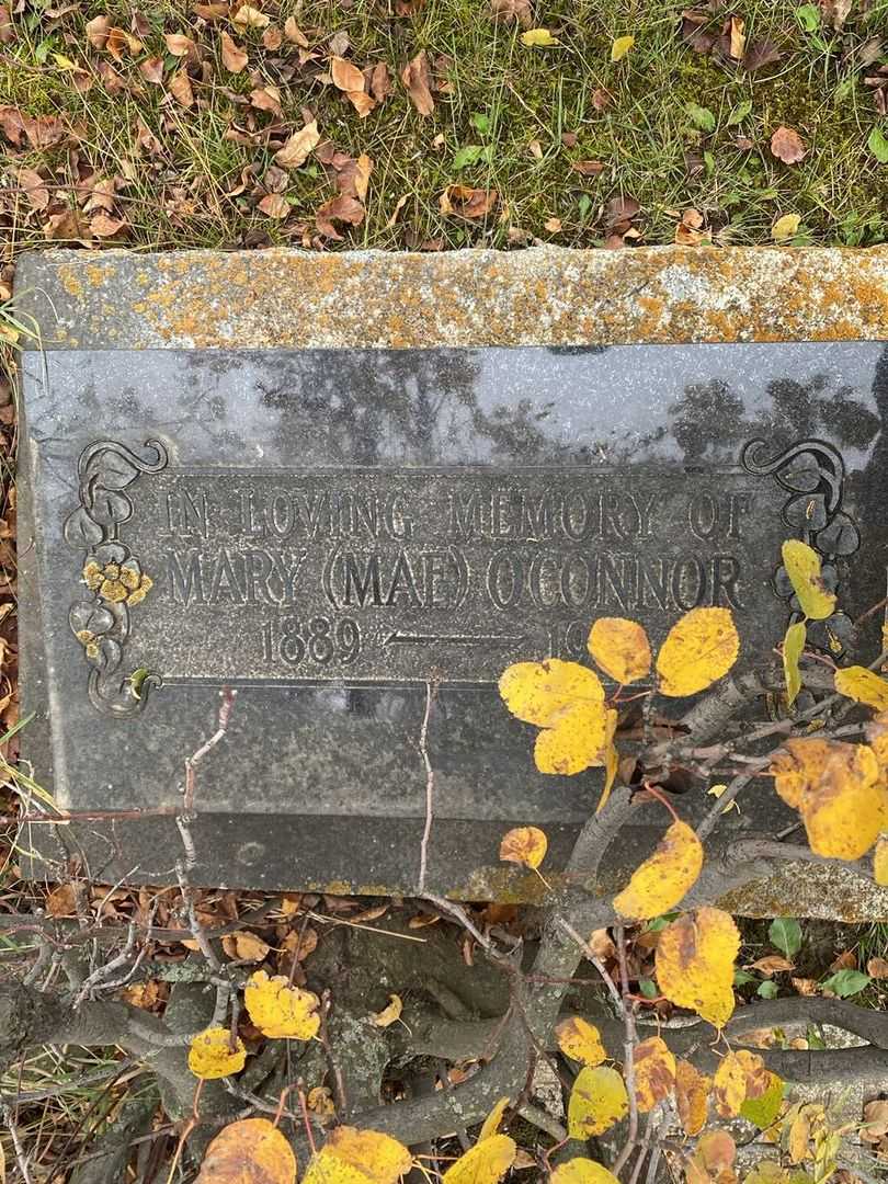 Mary "Mae" O'Connor's grave. Photo 1
