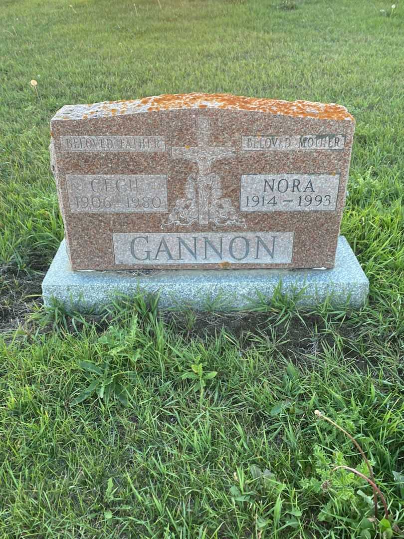 Cecil Patrick Gannon's grave. Photo 1