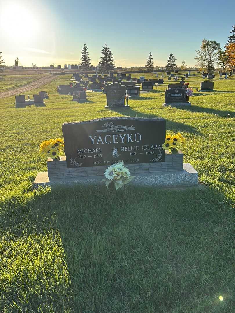 Michael Yaceyko's grave. Photo 2