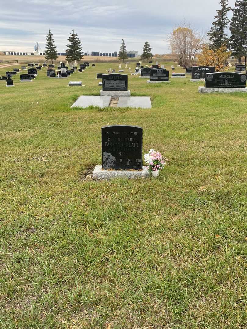 Carlina Marie Farkash-Klatt's grave. Photo 2
