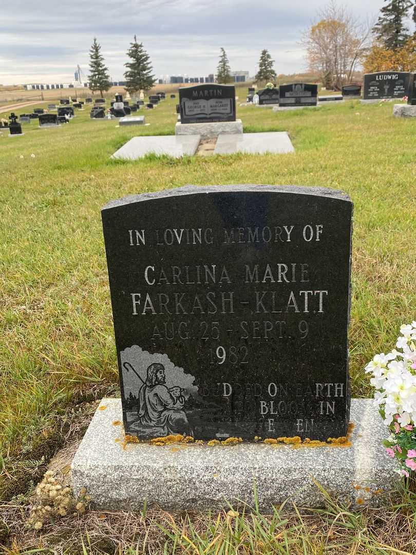 Carlina Marie Farkash-Klatt's grave. Photo 1