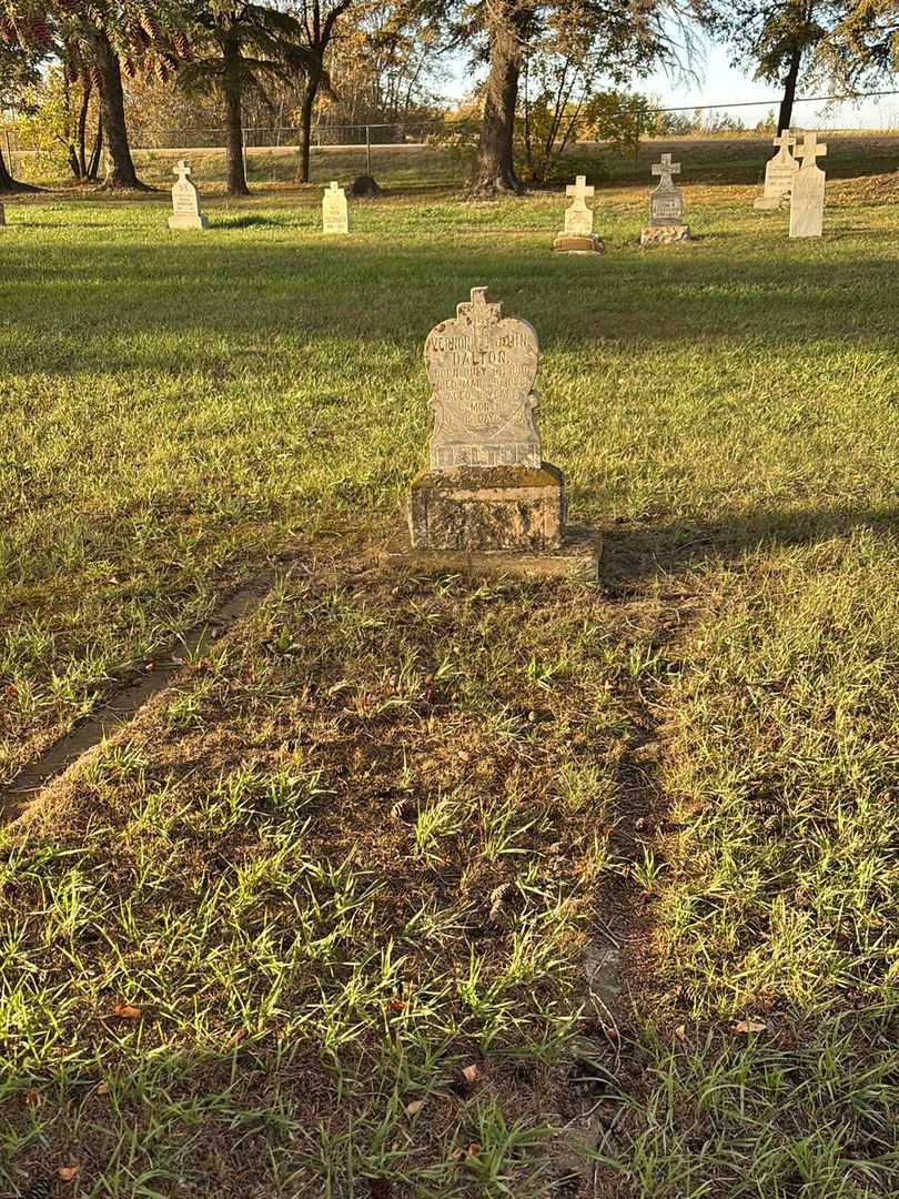 Vernon John Dalton's grave. Photo 2
