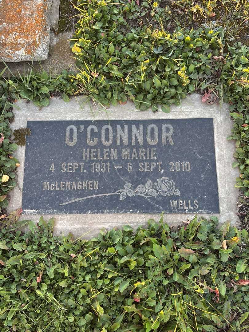 Mary Gertrude O'Connor's grave. Photo 3