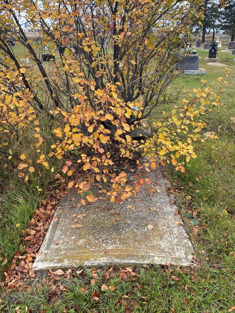 Mary "Mae" O'Connor's grave. Photo 2