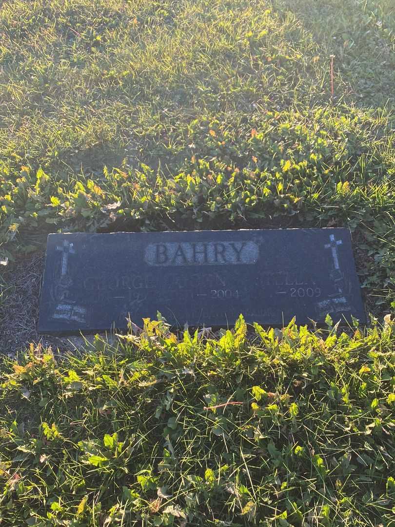 John Bahry's grave. Photo 1
