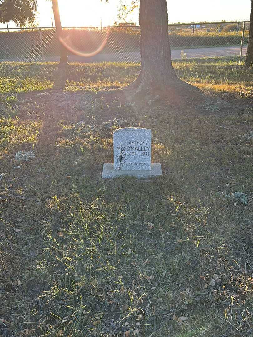 Anthony O'Malley's grave. Photo 2