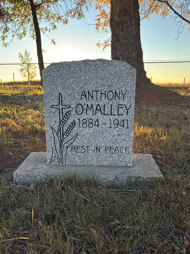 Anthony O'Malley's grave. Photo 1
