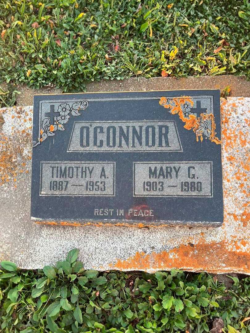 Timothy A. O'Connor's grave. Photo 1