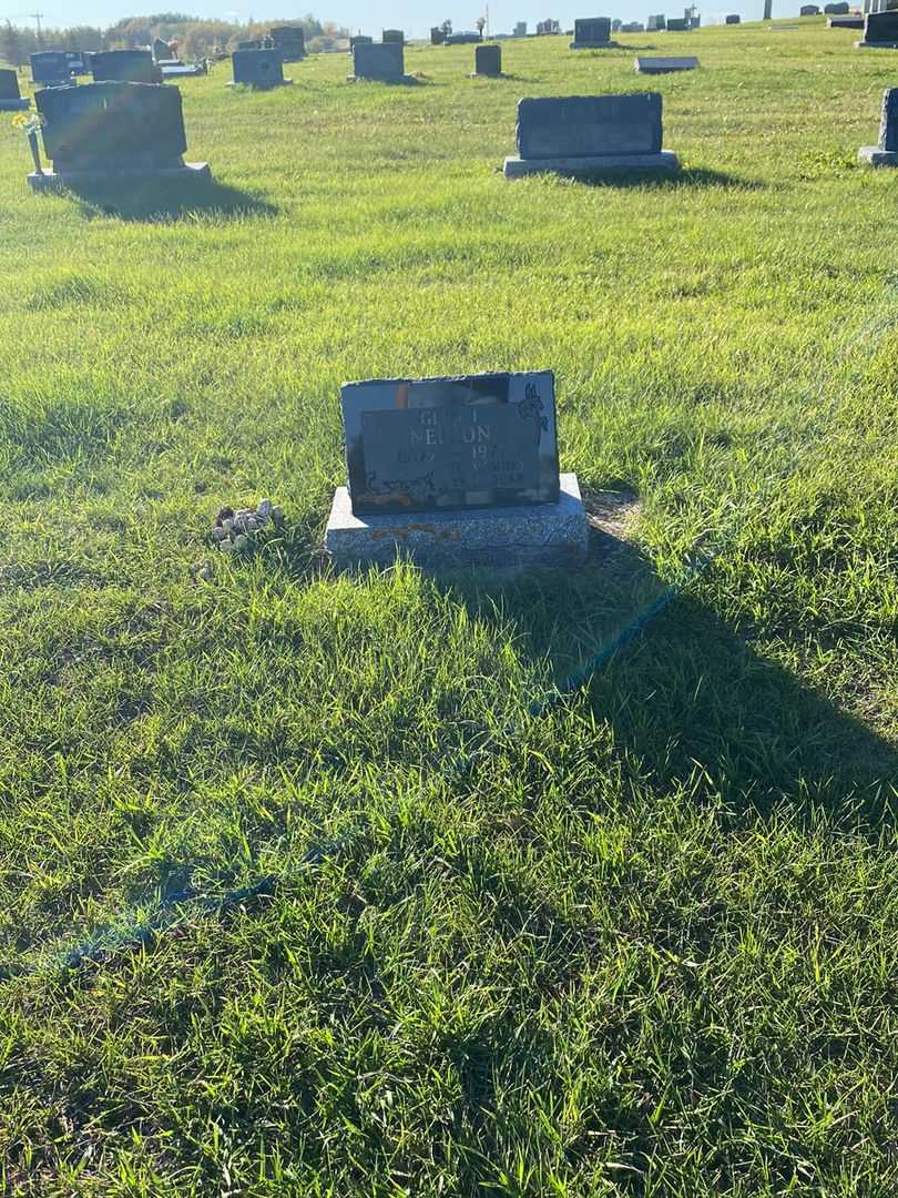 Glen I. Nelson's grave. Photo 2
