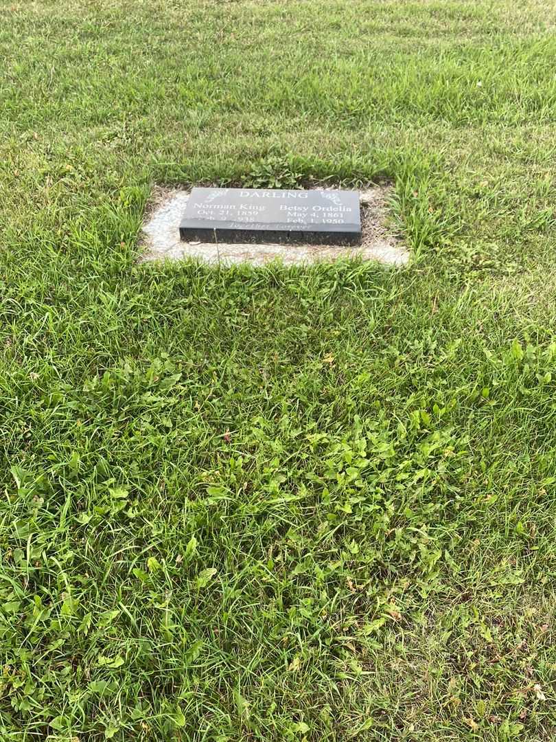 Norman King Darling's grave. Photo 2