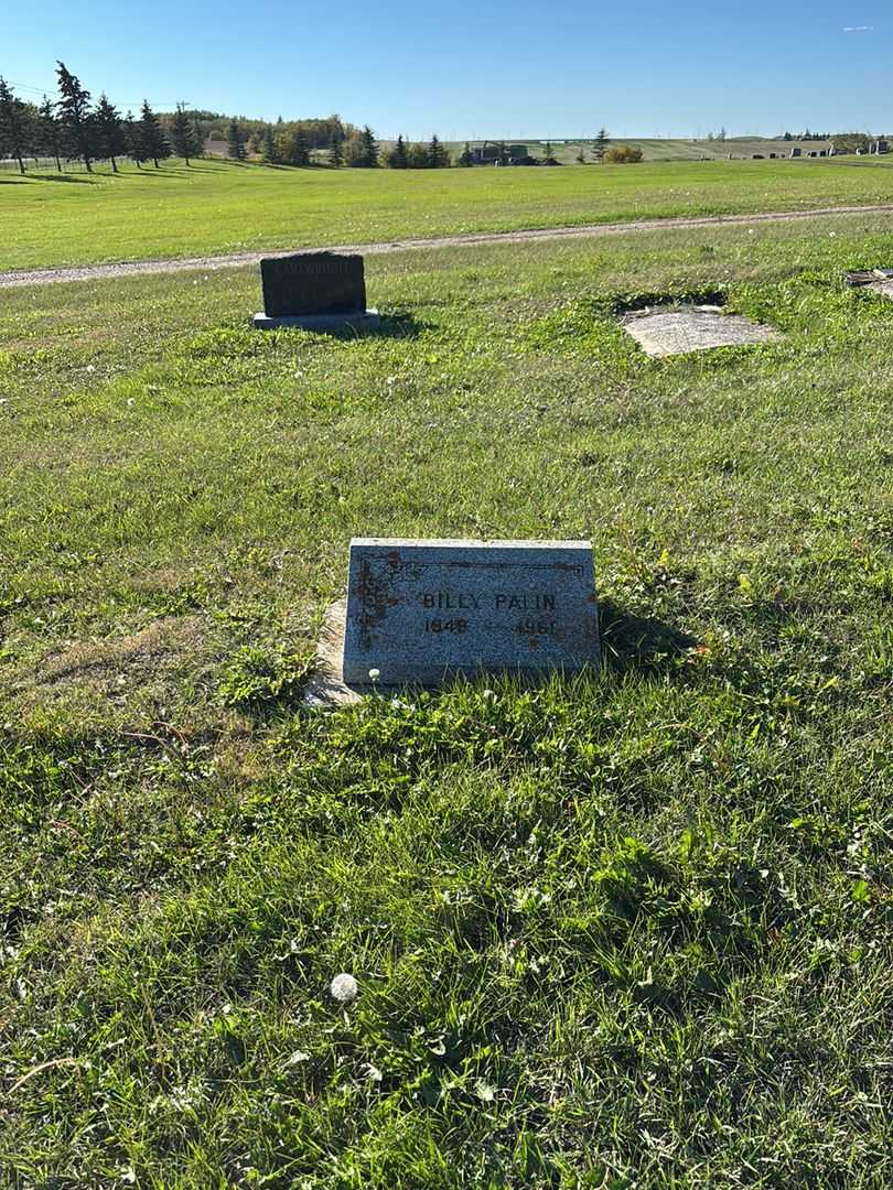William R. "Billy" Palin's grave. Photo 2