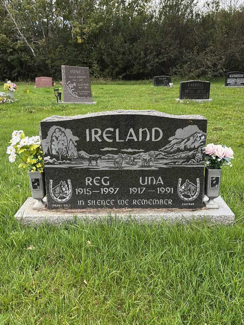 Reginald "Reg" Ireland's grave. Photo 1