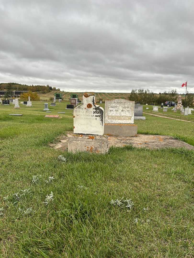 Bozyj John Gocko's grave. Photo 2