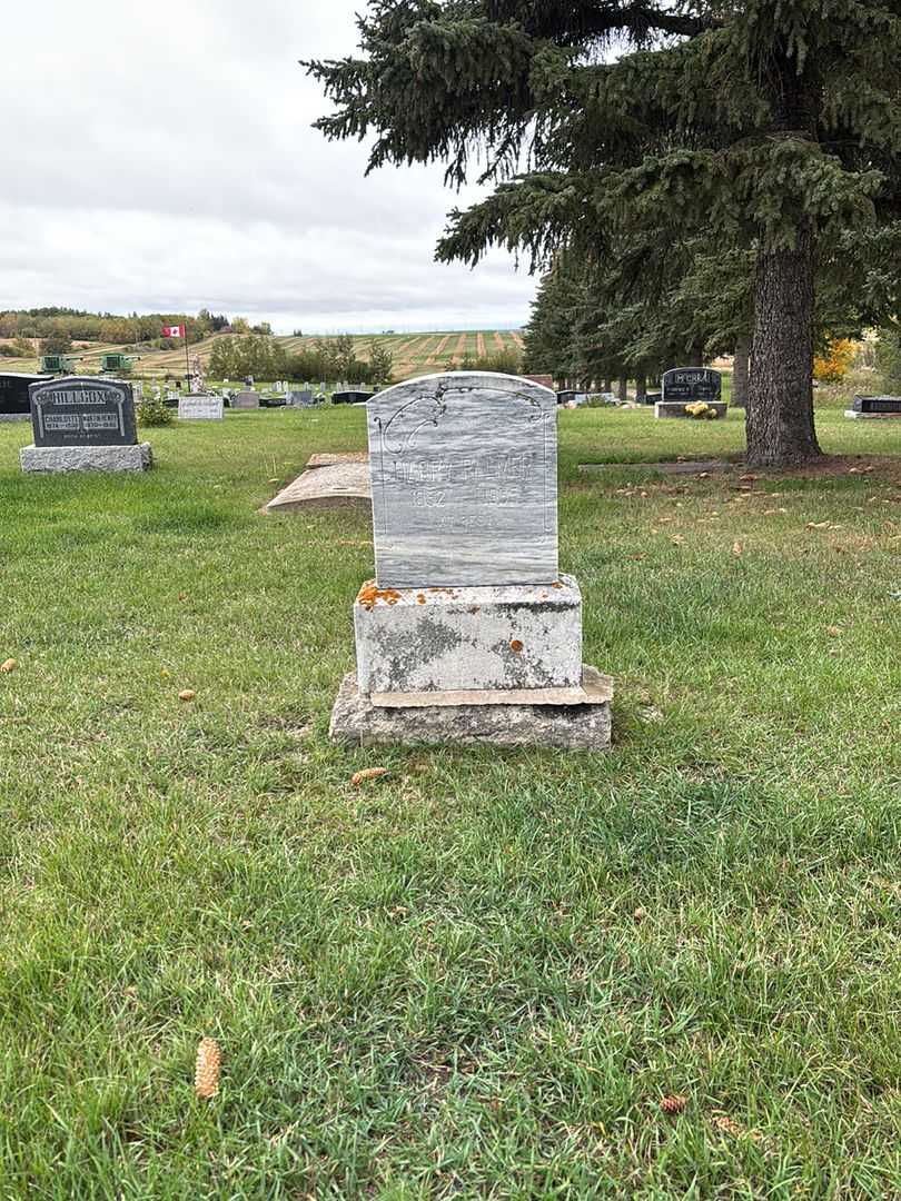 Harry Palmer's grave. Photo 2