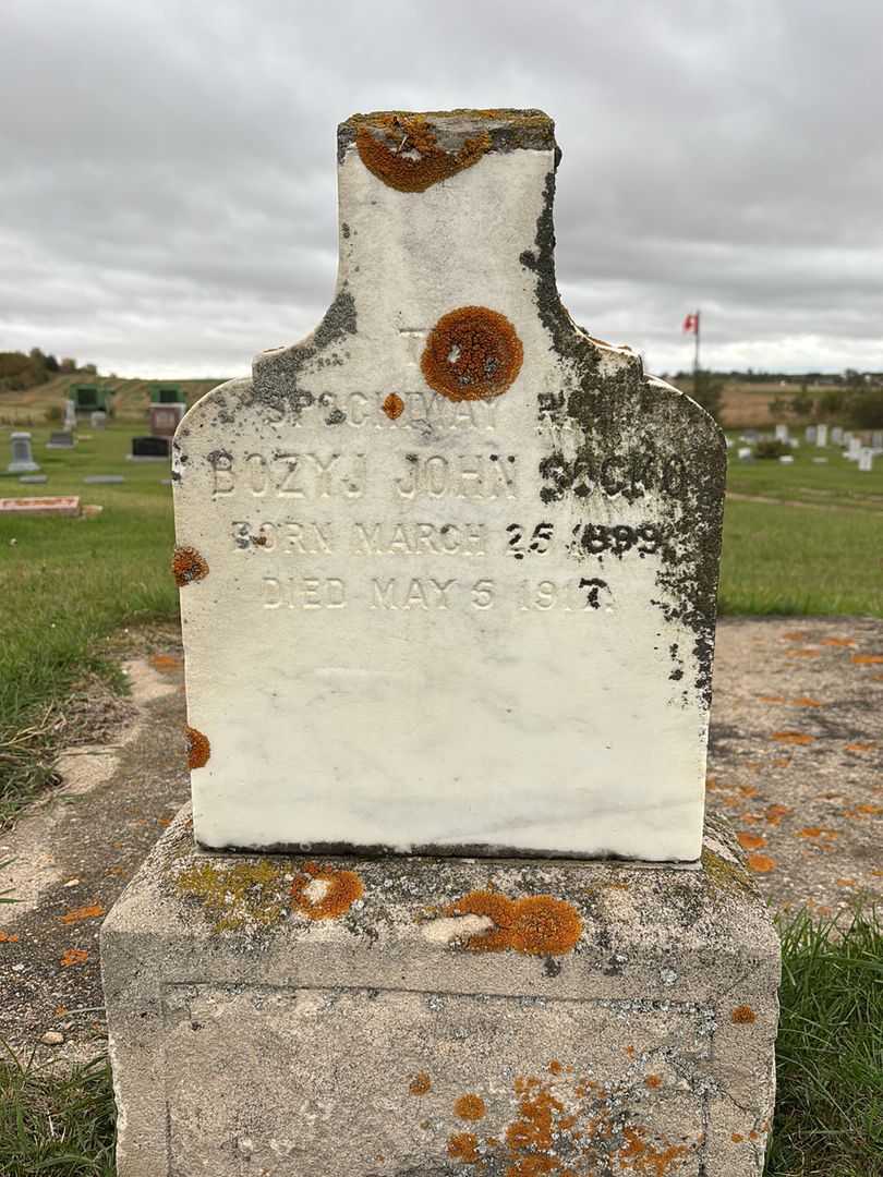 Saima Mary Haley's grave. Photo 1