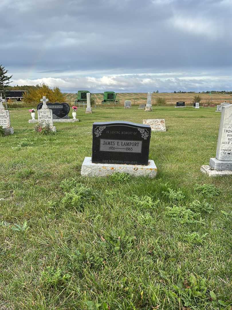 James Edgar Lamport's grave. Photo 2