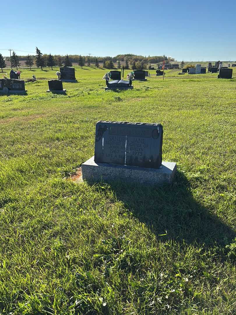 Sandra Jane Ilchuk's grave. Photo 2