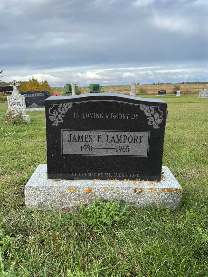 James Edgar Lamport's grave. Photo 3
