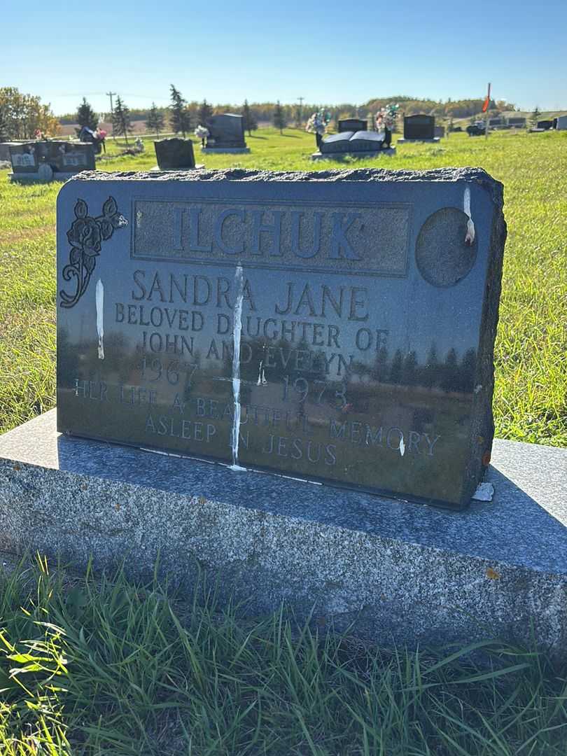 Sandra Jane Ilchuk's grave. Photo 1