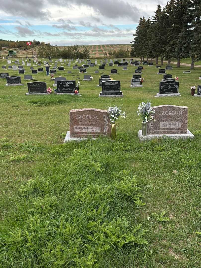 Marshall Foch Jackson's grave. Photo 2