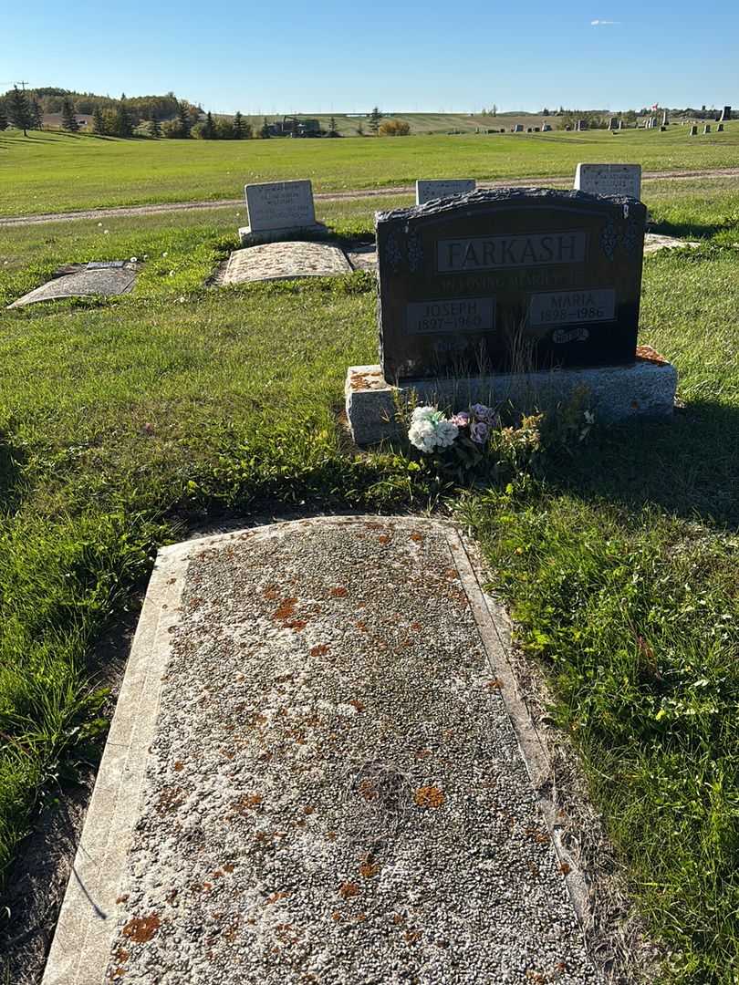 Joseph Farkash's grave. Photo 2