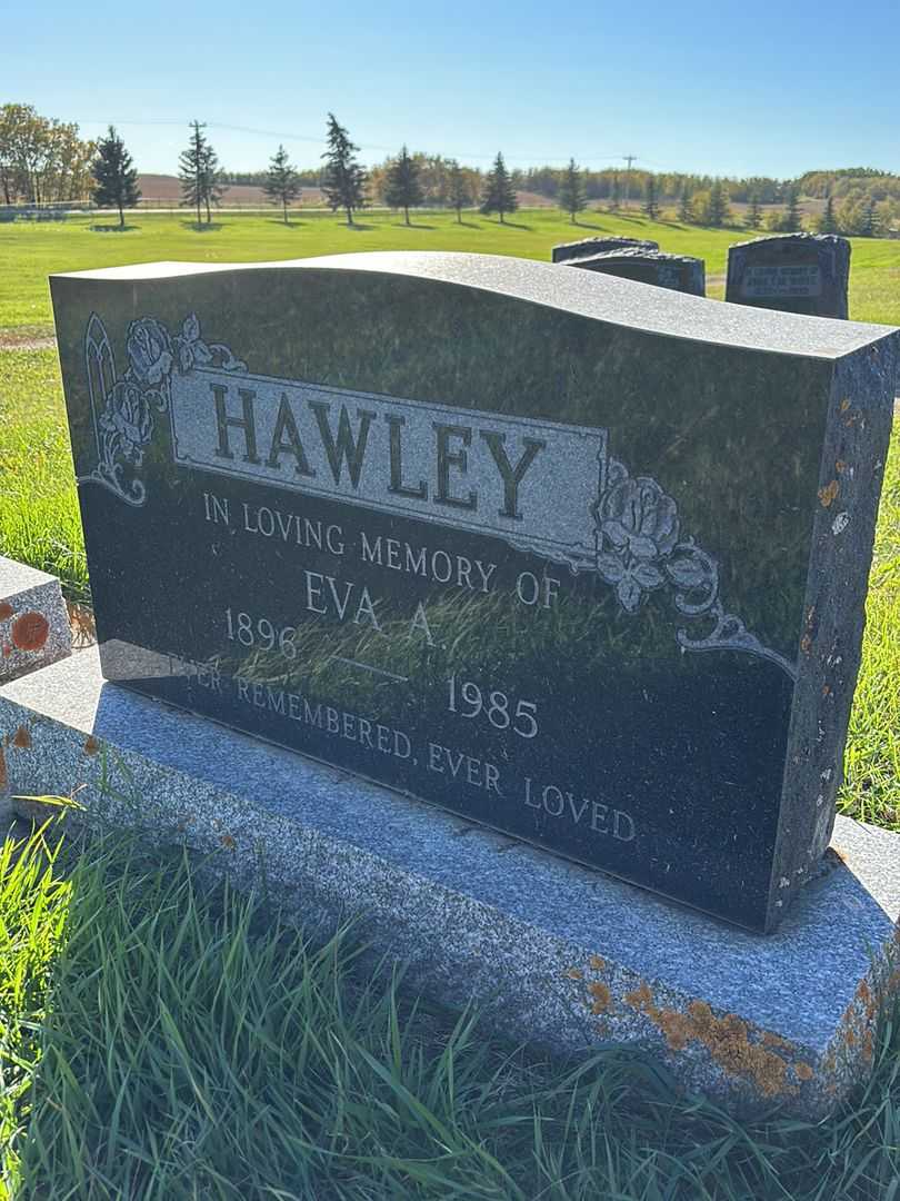 Eva Anne Hawley's grave. Photo 3