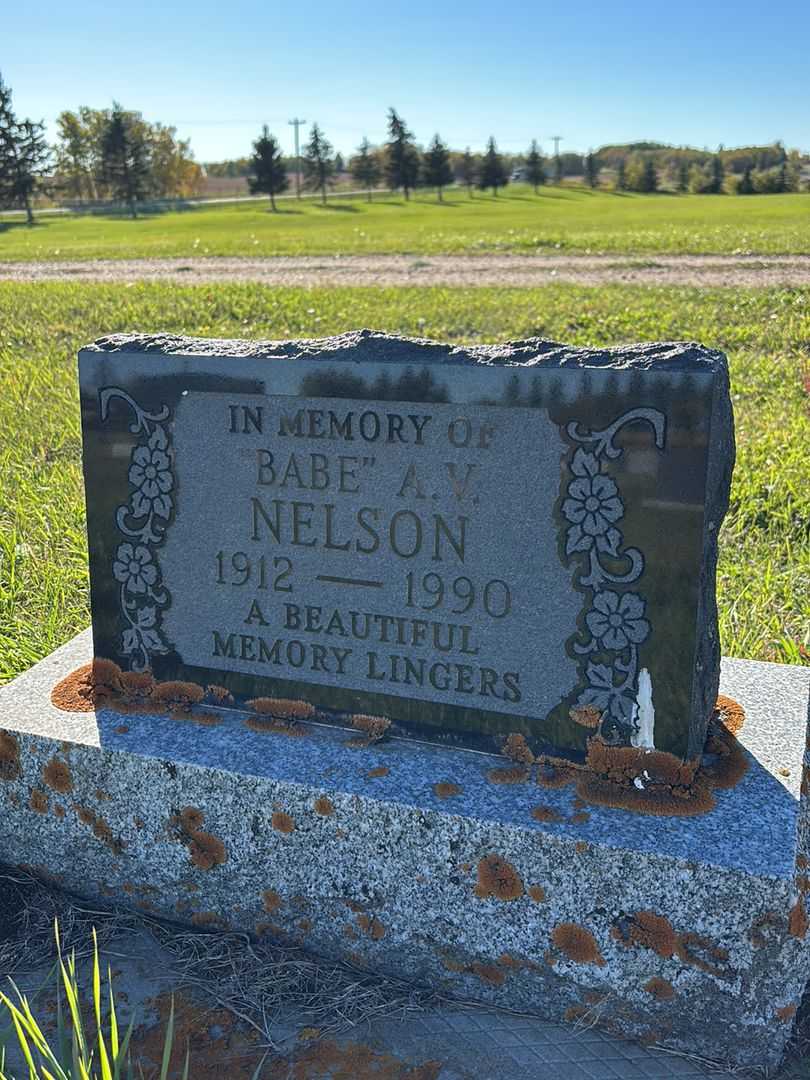 Alma V. "Babe" Nelson's grave. Photo 1
