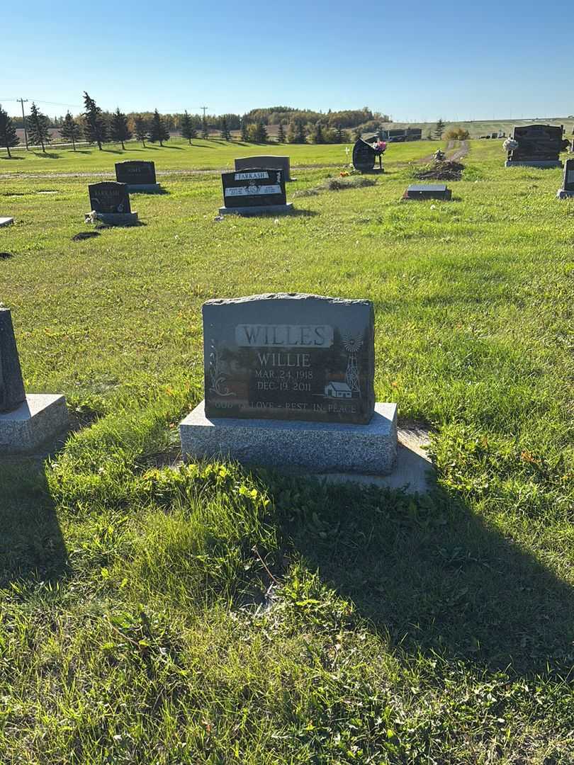 Wilhelmine "Willie" Irwin Willes's grave. Photo 2