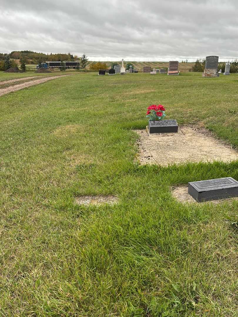Irean Farkash's grave. Photo 2