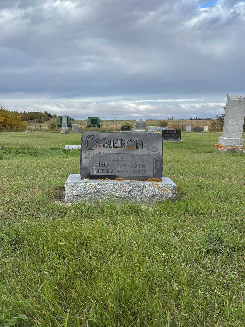 Alma Fidealia Cameron's grave. Photo 2