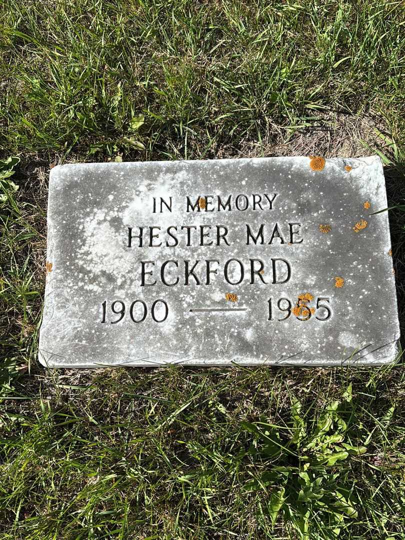Hester Mae Eckford's grave. Photo 1