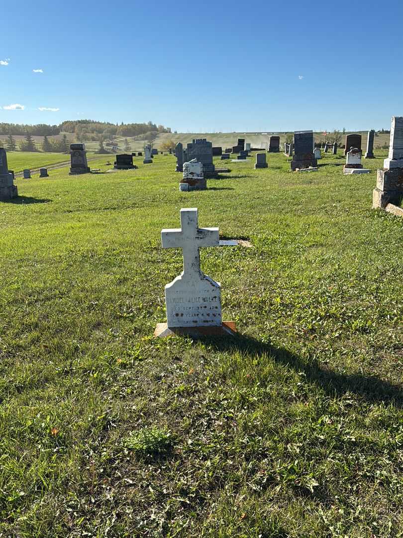 May Mary Walker's grave. Photo 2