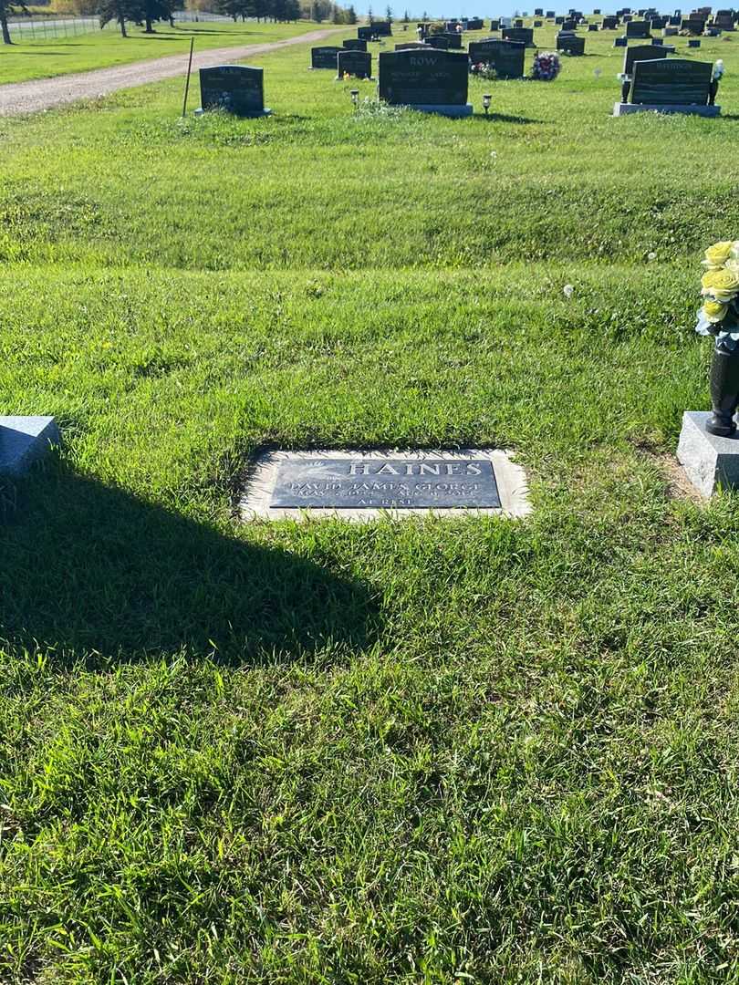 David James George Haines's grave. Photo 2