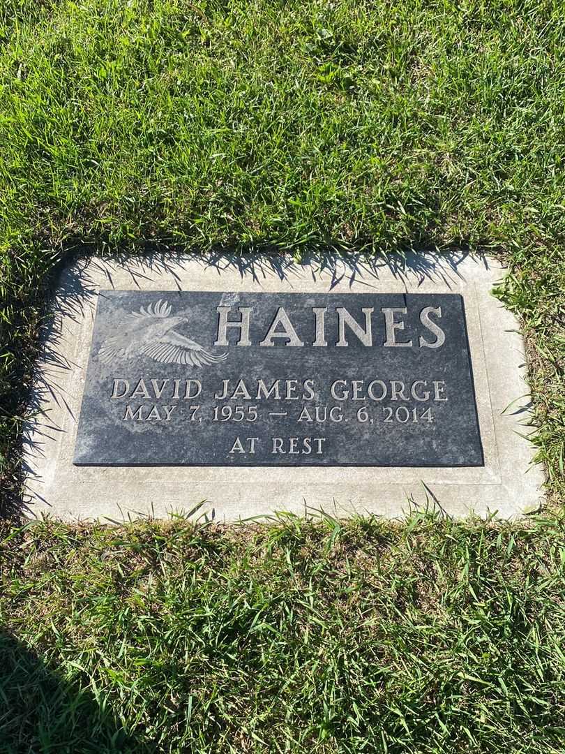 David James George Haines's grave. Photo 1