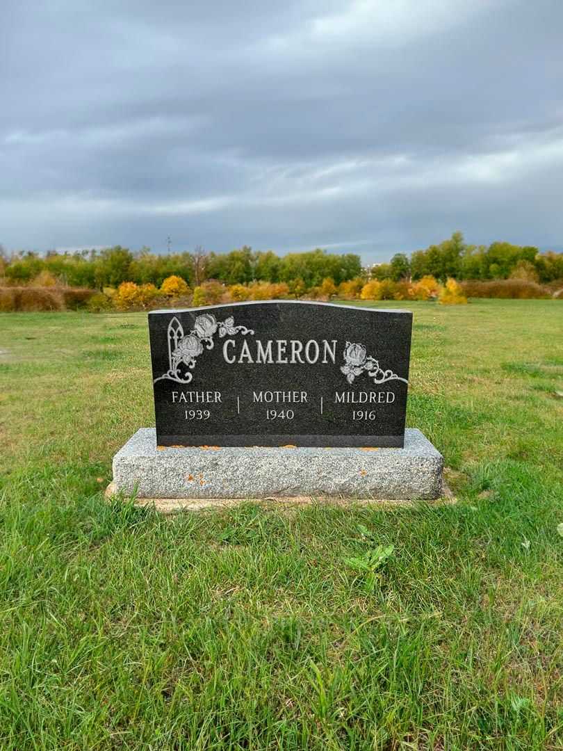 Fidelia Elizabeth Cameron's grave. Photo 2