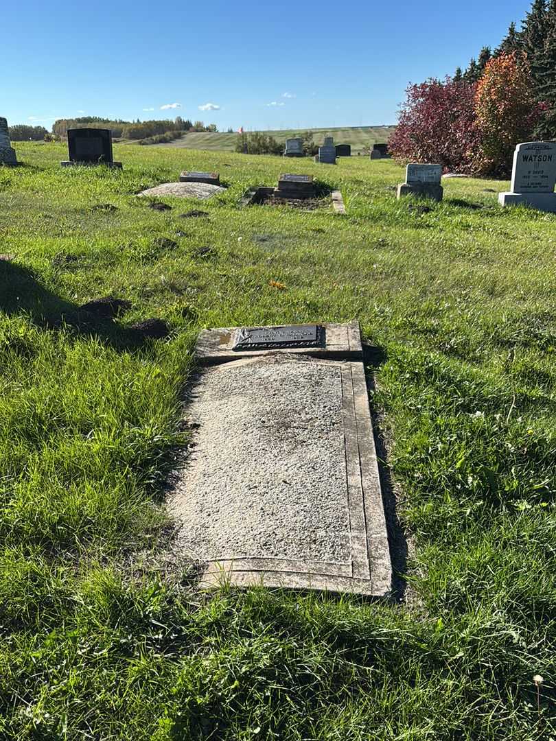Robert Daniel Radmore's grave. Photo 2