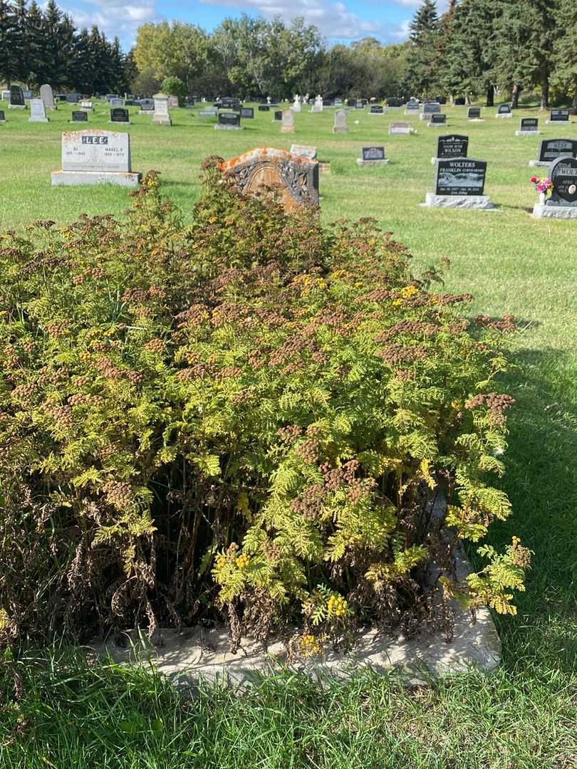 Mary Jamison's grave. Photo 2