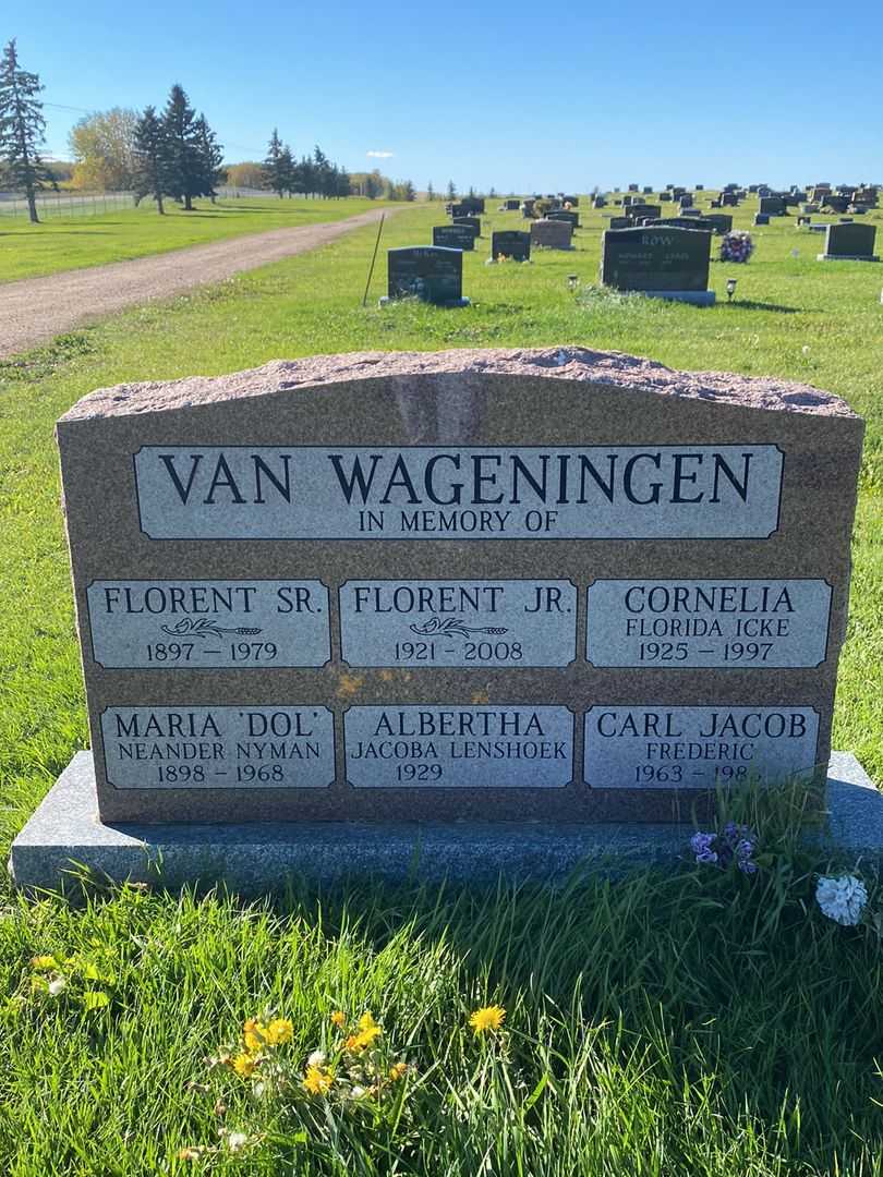 Florent Van Wageningen Junior's grave. Photo 1