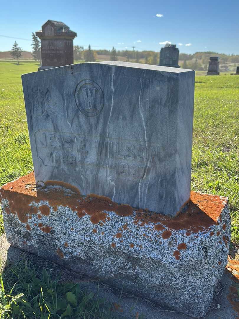 Jessie Wilson's grave. Photo 3