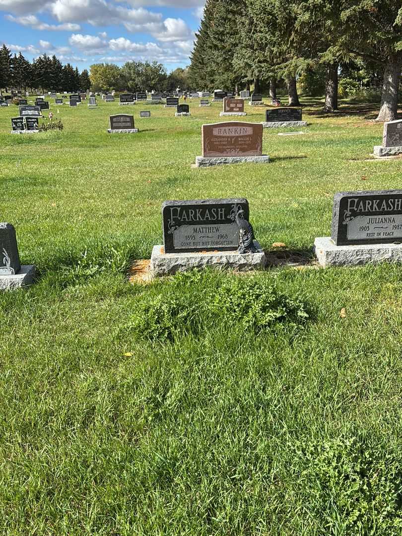 Matthew Farkash's grave. Photo 2