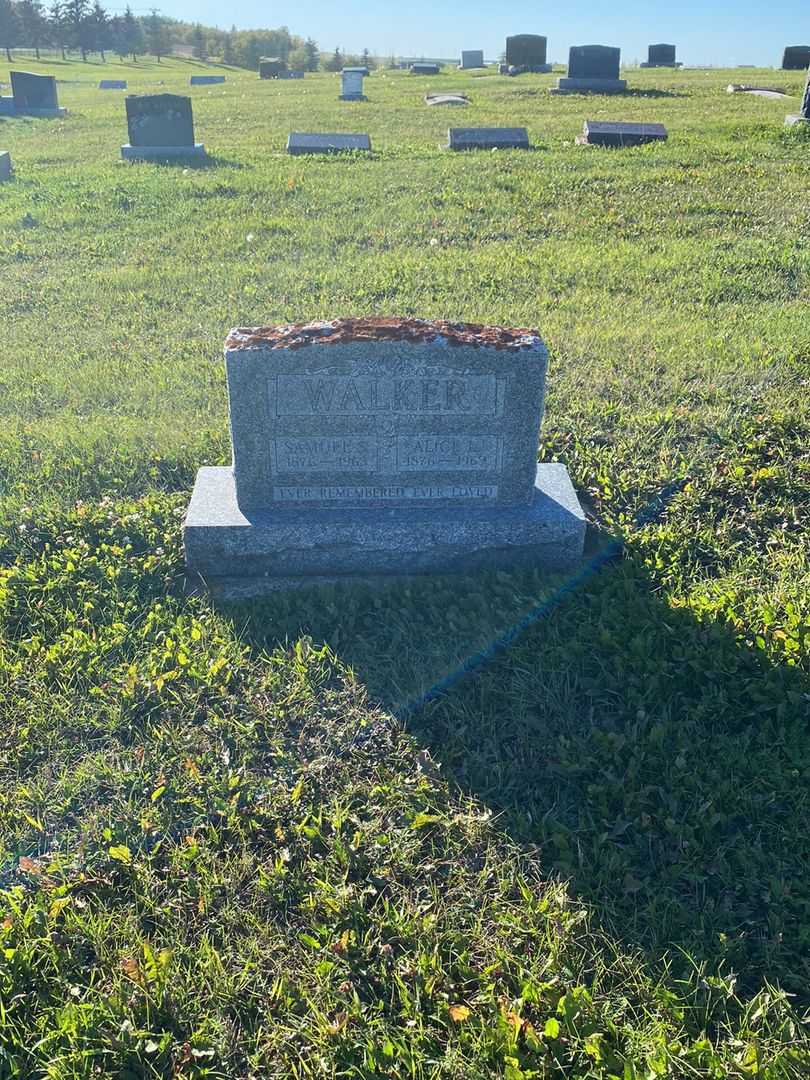 Samuel Stock Walker's grave. Photo 2