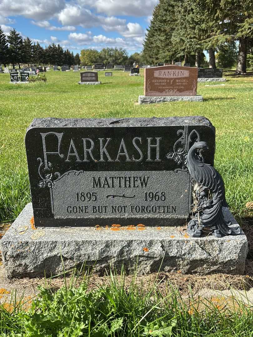Matthew Farkash's grave. Photo 1