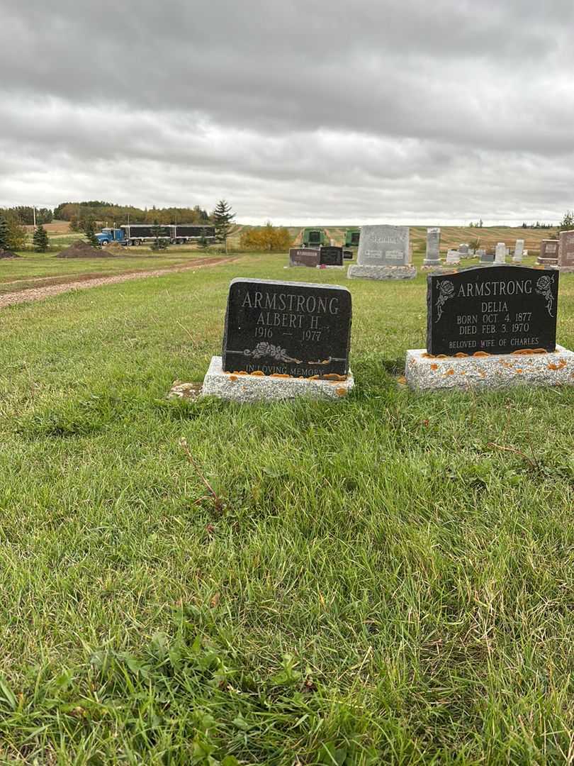 Albert H. Armstrong's grave. Photo 2