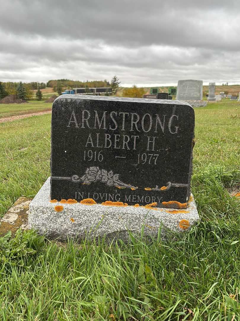 Albert H. Armstrong's grave. Photo 3