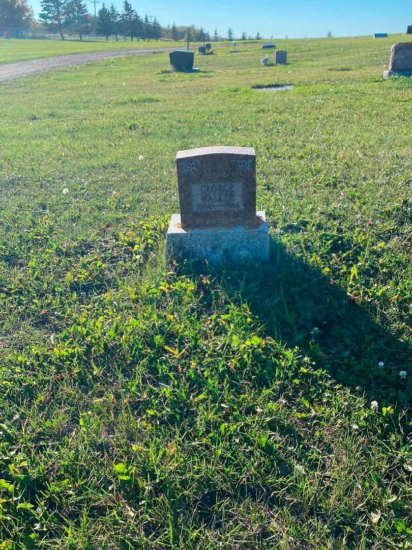 George Walker's grave. Photo 2