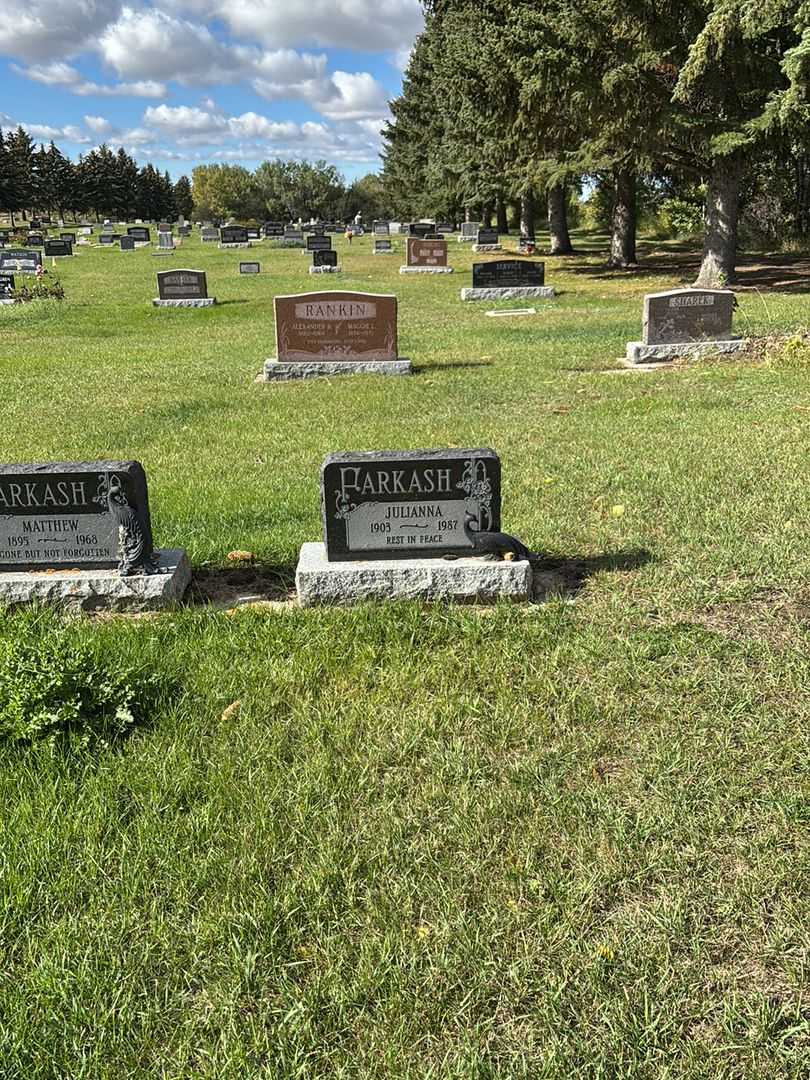 Julianna Farkash's grave. Photo 2